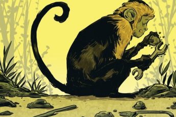 بين الإنسان والشامبانزي.. لم تكن المقارنة يوما صحيحة!