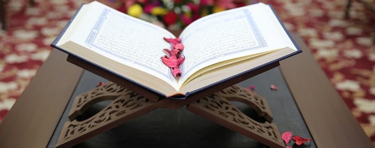 اللغة القرآنية.. متعة التصوير التي تحاكي الواقع!